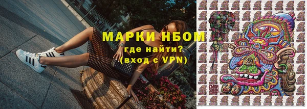 трава Аркадак
